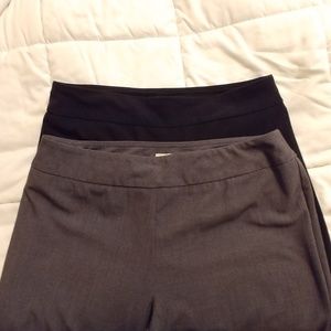 2 PAIR Roz & Ali Secret Agent Bootcut Dress Pants